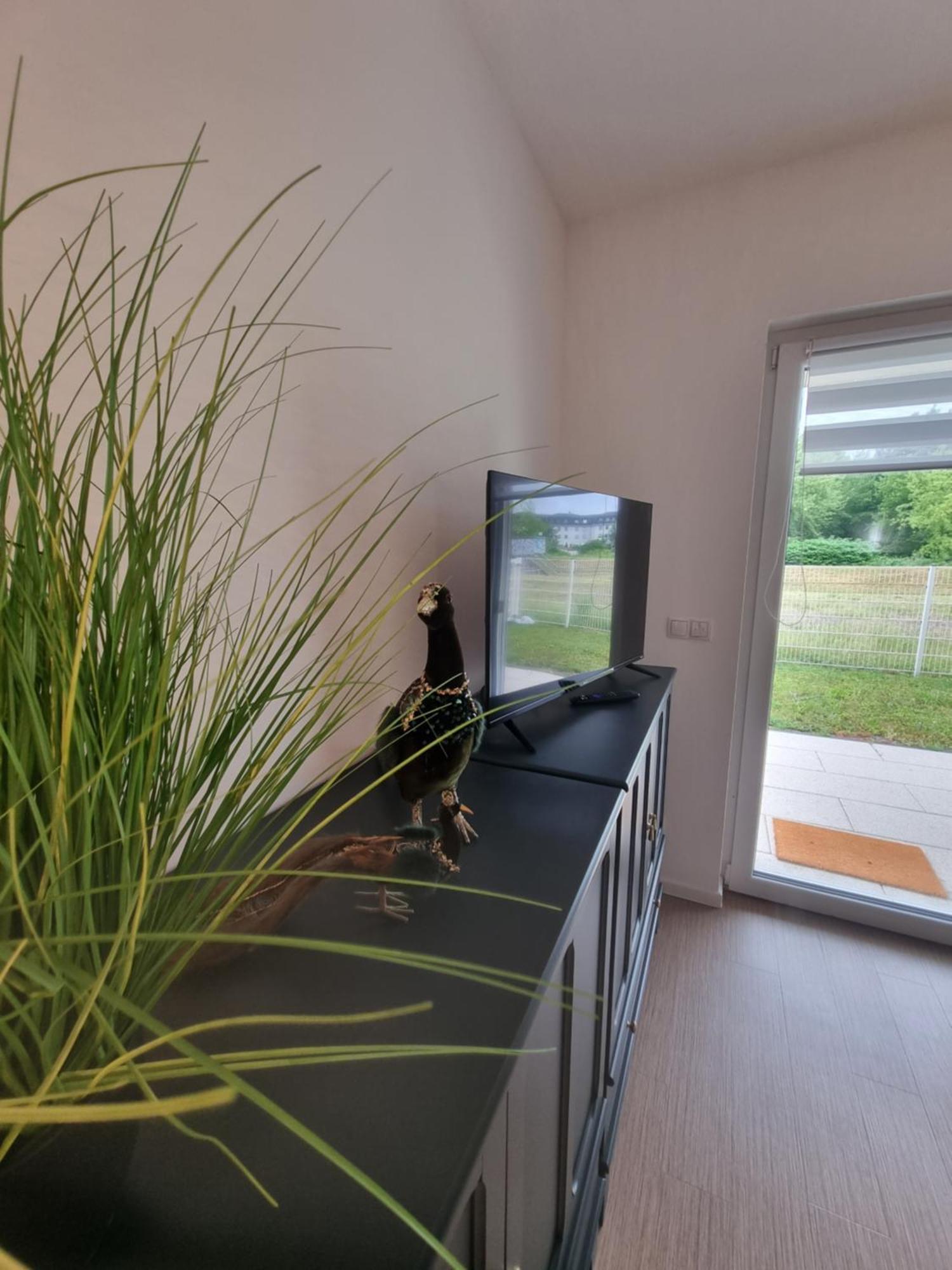 Ferienwohnung Im Palais Am See Am Goitzschesee Bitterfeld-Wolfen Rom bilde